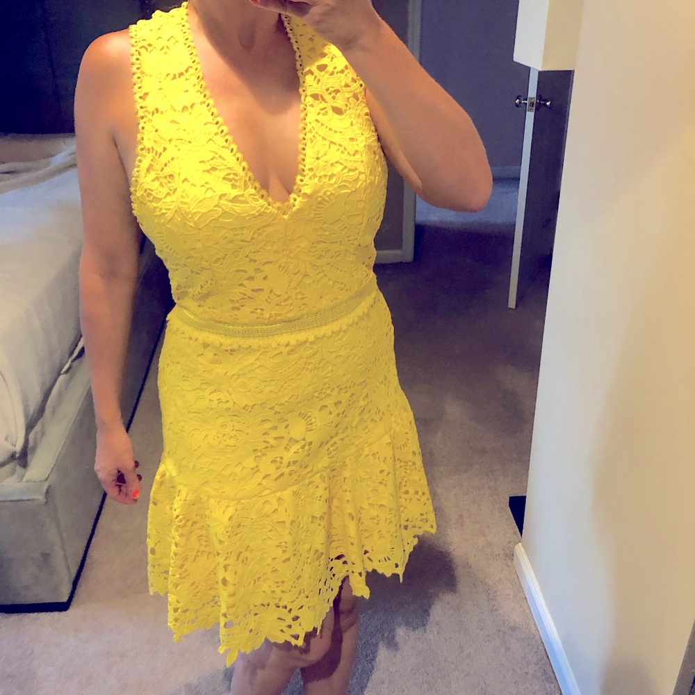NWT Alice + Olivia lace halter dress